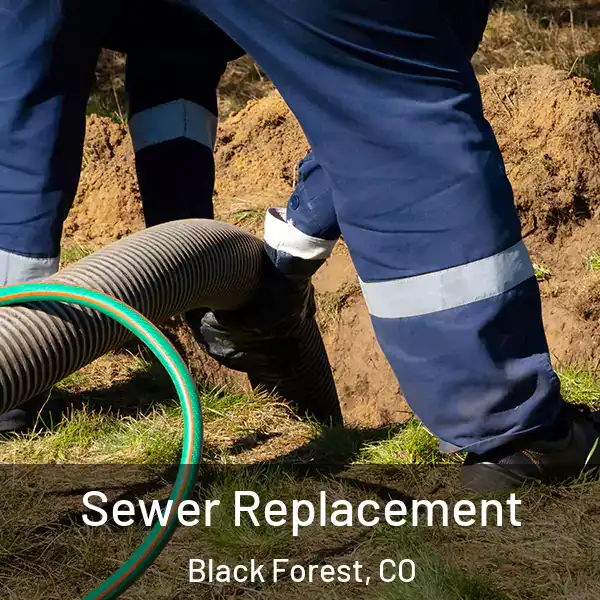  Sewer Replacement Black Forest, CO