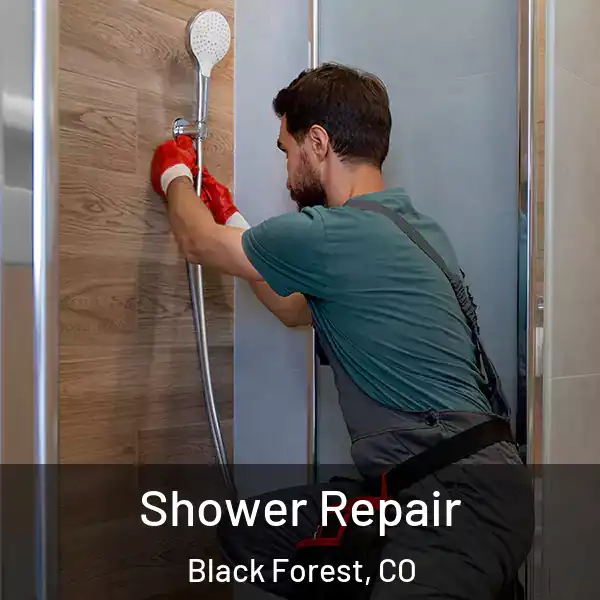  Shower Repair Black Forest, CO