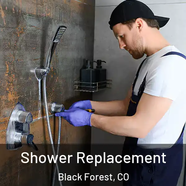  Shower Replacement Black Forest, CO