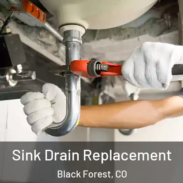  Sink Drain Replacement Black Forest, CO