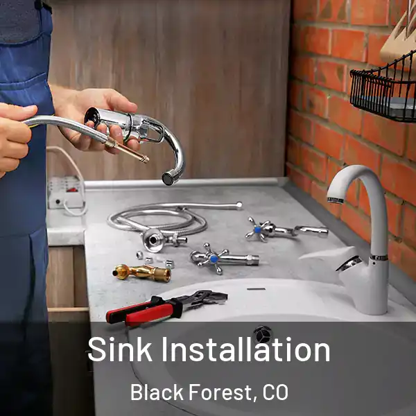  Sink Installation Black Forest, CO