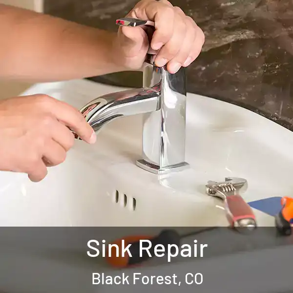  Sink Repair Black Forest, CO