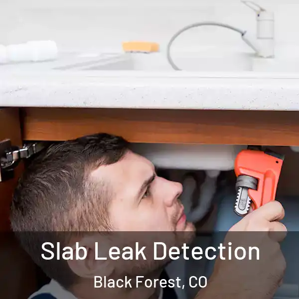  Slab Leak Detection Black Forest, CO