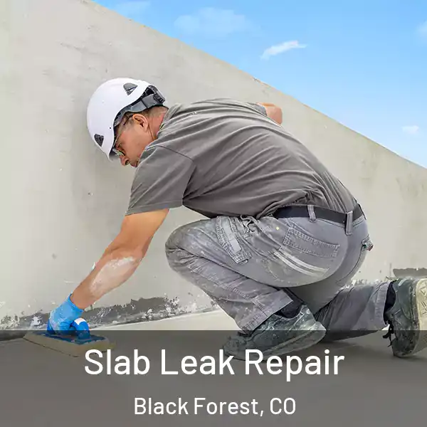  Slab Leak Repair Black Forest, CO