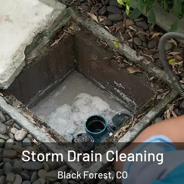  Storm Drain Cleaning Black Forest, CO