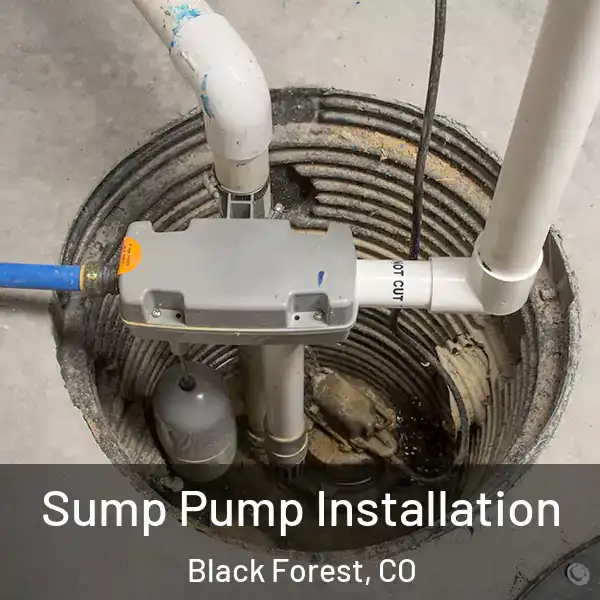  Sump Pump Installation Black Forest, CO