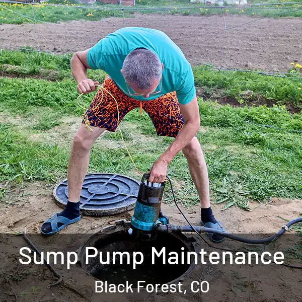  Sump Pump Maintenance Black Forest, CO