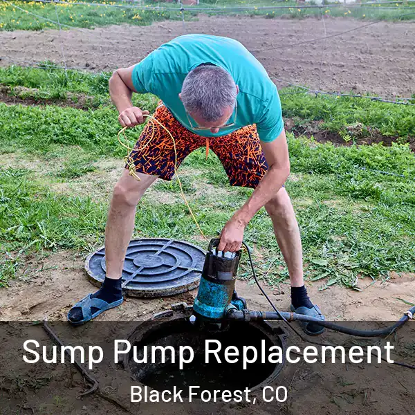  Sump Pump Replacement Black Forest, CO