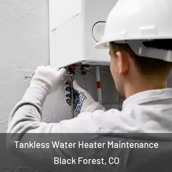  Tankless Water Heater Maintenance Black Forest, CO