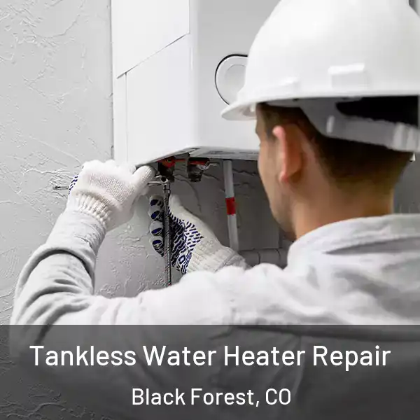  Tankless Water Heater Repair Black Forest, CO
