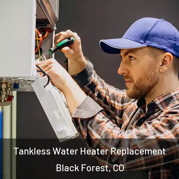  Tankless Water Heater Replacement Black Forest, CO