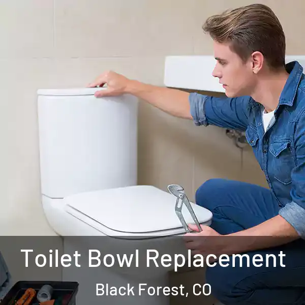  Toilet Bowl Replacement Black Forest, CO