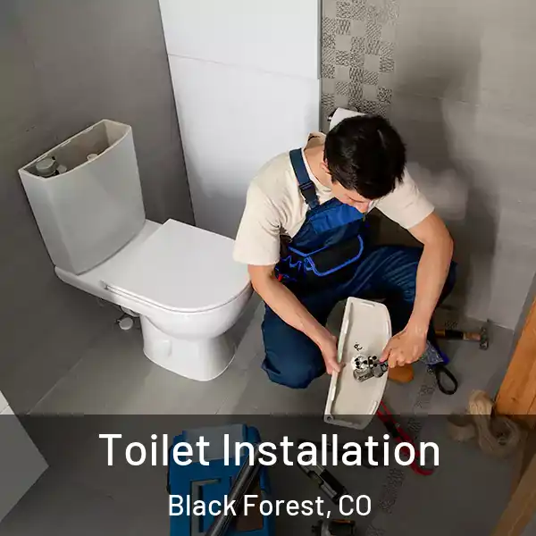  Toilet Installation Black Forest, CO