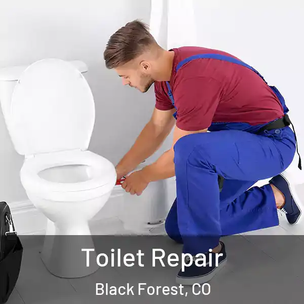  Toilet Repair Black Forest, CO