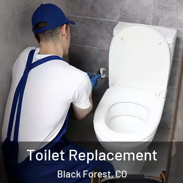  Toilet Replacement Black Forest, CO