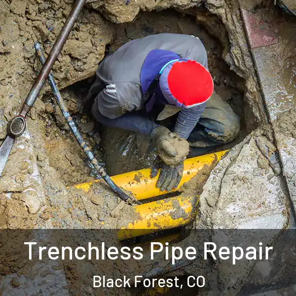  Trenchless Pipe Repair Black Forest, CO