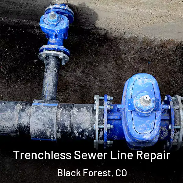  Trenchless Sewer Line Repair Black Forest, CO