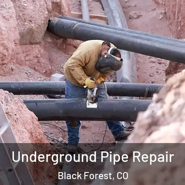  Underground Pipe Repair Black Forest, CO