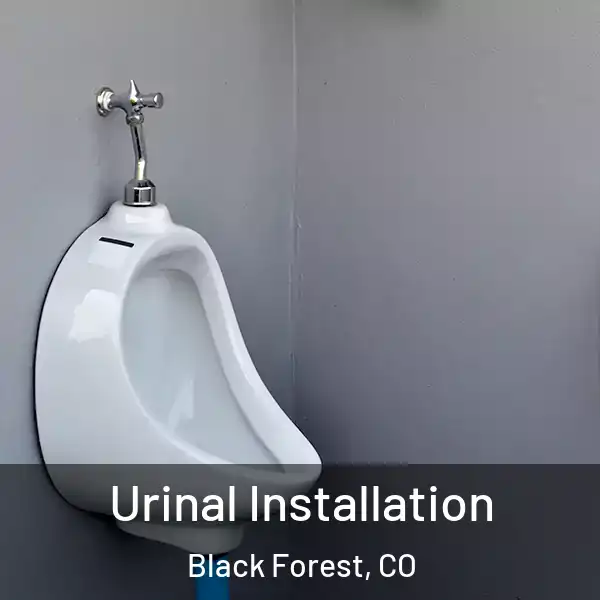  Urinal Installation Black Forest, CO