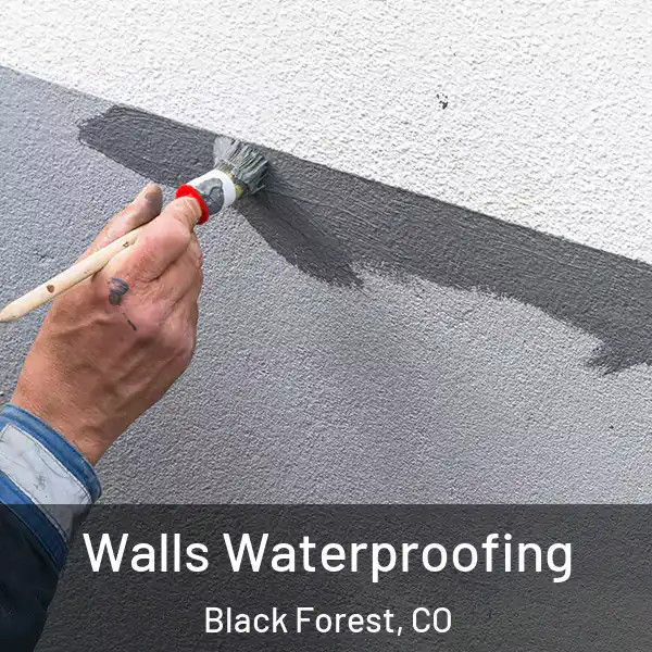  Walls Waterproofing Black Forest, CO