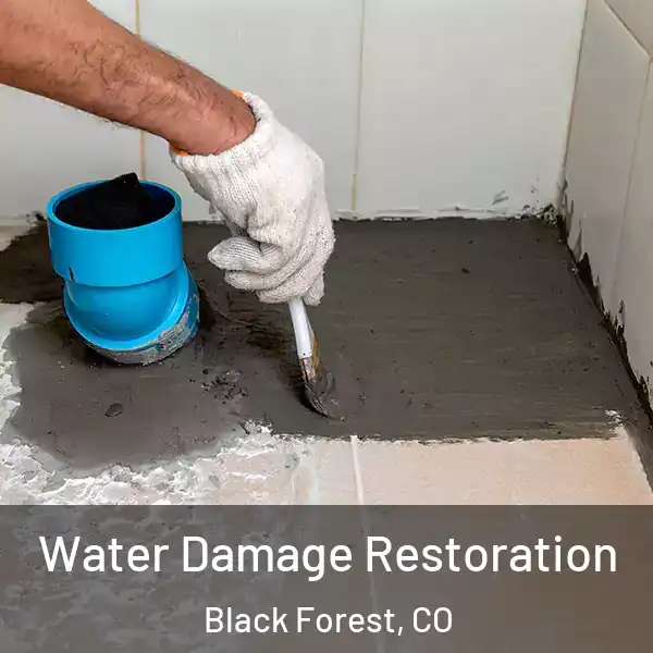  Water Damage Restoration Black Forest, CO
