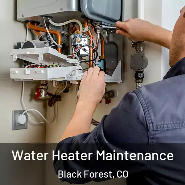  Water Heater Maintenance Black Forest, CO