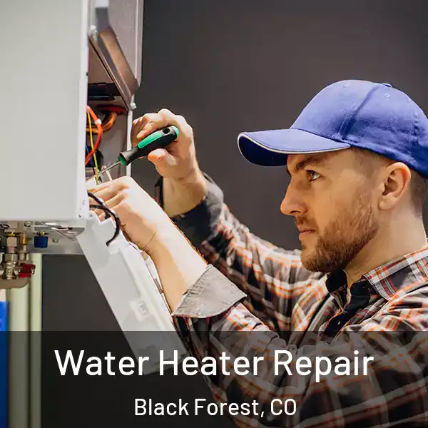  Water Heater Repair Black Forest, CO