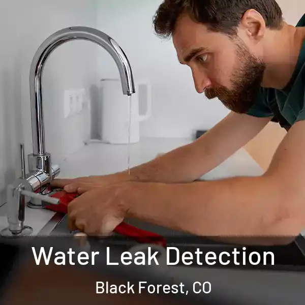  Water Leak Detection Black Forest, CO