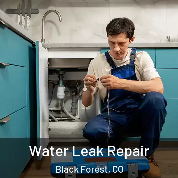  Water Leak Repair Black Forest, CO