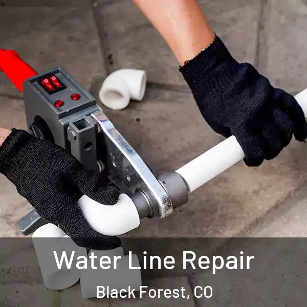  Water Line Repair Black Forest, CO