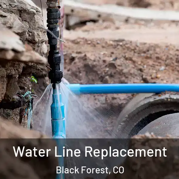  Water Line Replacement Black Forest, CO
