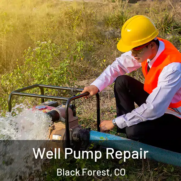  Well Pump Repair Black Forest, CO