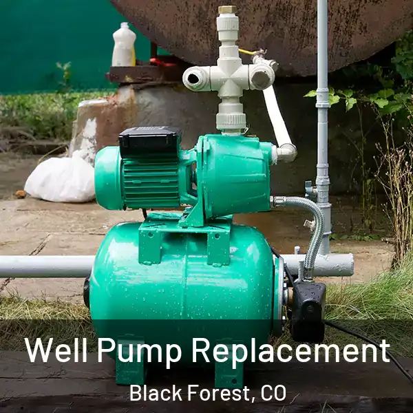  Well Pump Replacement Black Forest, CO